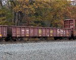 CN 137110